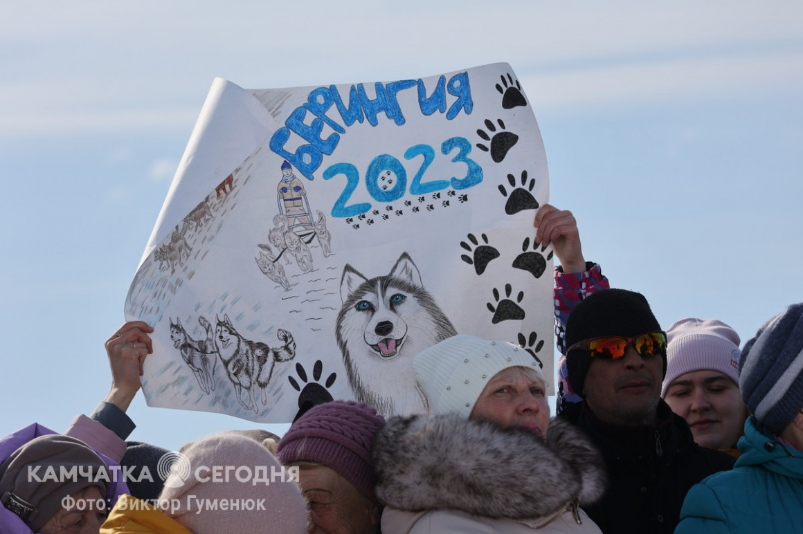 Финиш «Берингии – 2023». Фоторепортаж. фото: Виктор Гуменюк. Фотография 28