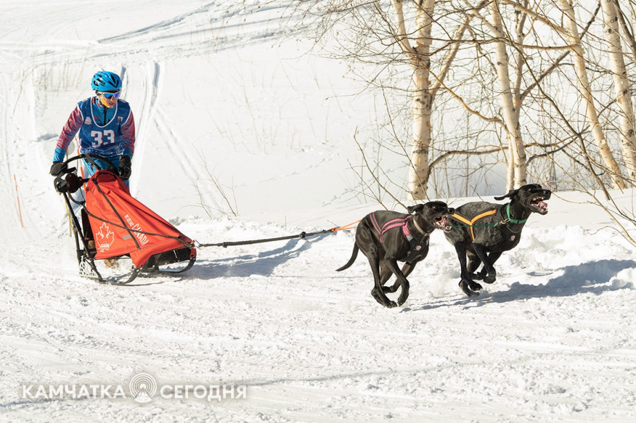 Детская гонка «Дюлин». Фоторепортаж. фото: Артем Безотечество. Фотография 19