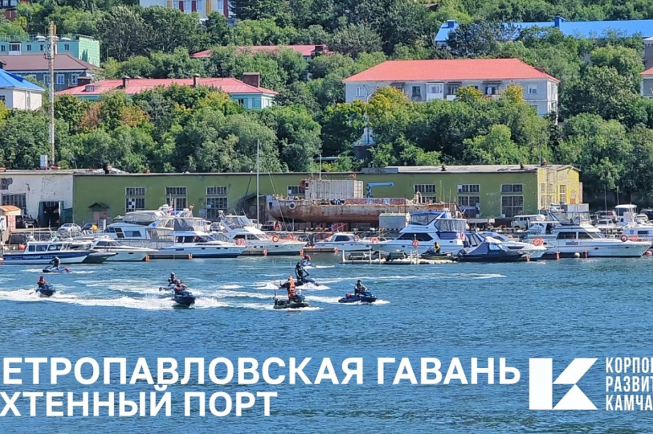 На федеральном роуд-шоу представили амбициозный камчатский проект. Фото: Корпорация развития Камчатского края. Фотография 1