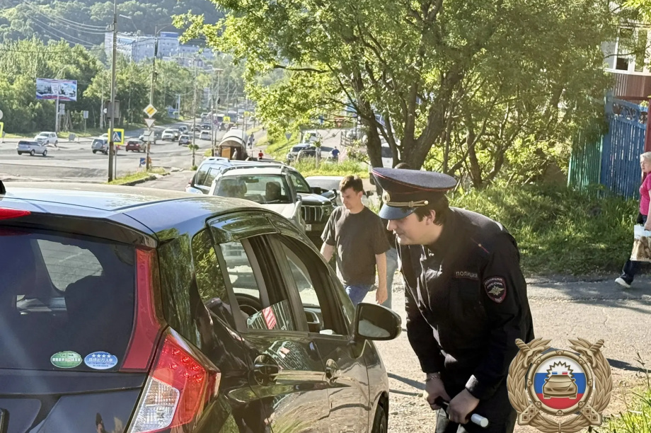 Автоинспекторы Камчатки выявили за 5 часов 130 нарушений. МАХ-канал Госавтоинспекции Камчатского края