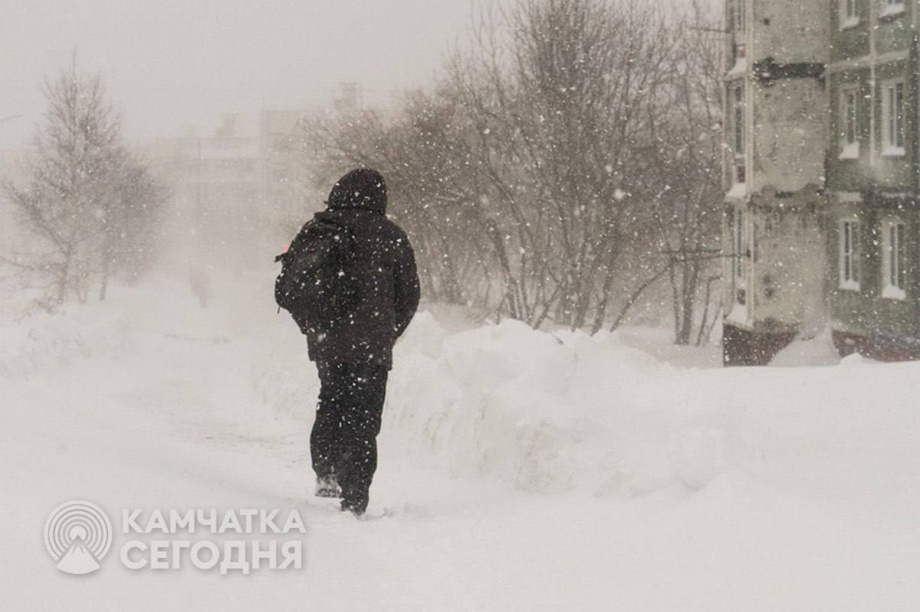 Жителям Камчатки предлагают дистанционку. 