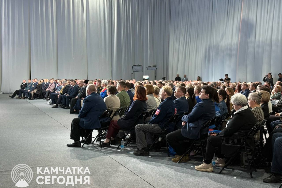 Солодов назвал состояние Петропавловска-Камчатского неприемлемым . . Фотография 3