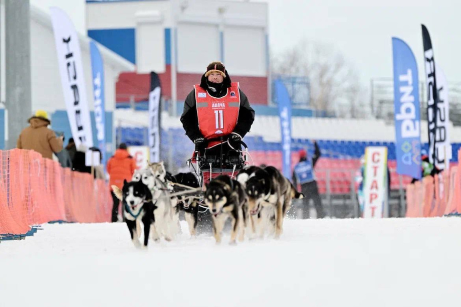 14 упряжек выйдут на старт легендарной «Берингии» на Камчатке. Фото: КВТЦ, телеграм-канал