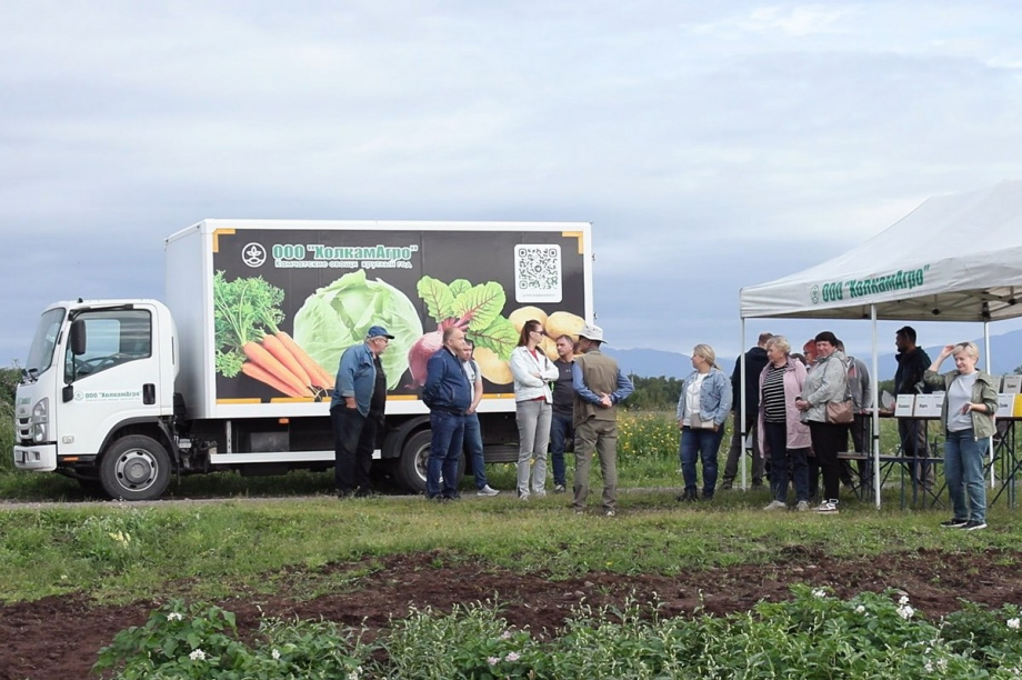 Презентацию 13 новых для Камчатки сортов картофеля провели в Елизовском районе. Фото: Виктор Гуменюк, kamgov.ru. Фотография 11