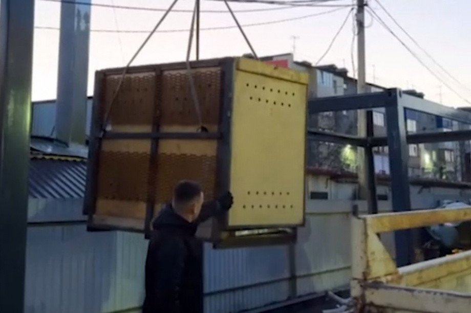 С Камчатки в Москву отправится сегодня осиротевший медвежонок. Фото: скрин с видео из телеграм-канала парка «Земля прайда». Фотография 2