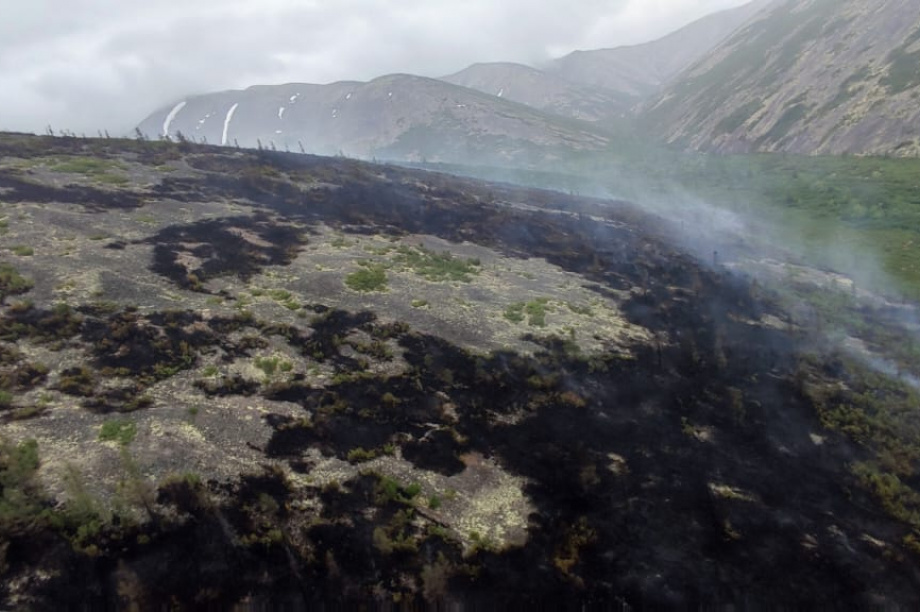 Природный пожар на севере Камчатки прошел 455 гектаров. Фото: kamgov.ru. Фотография 4