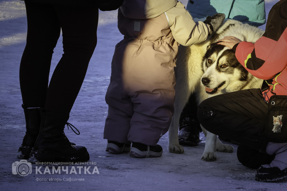 В Петропавловске-Камчатском продолжаются новогодние развлечения (фоторепортаж). Фото: «Камчатка Сегодня» \ Игорь Сафончик. Фотография 43