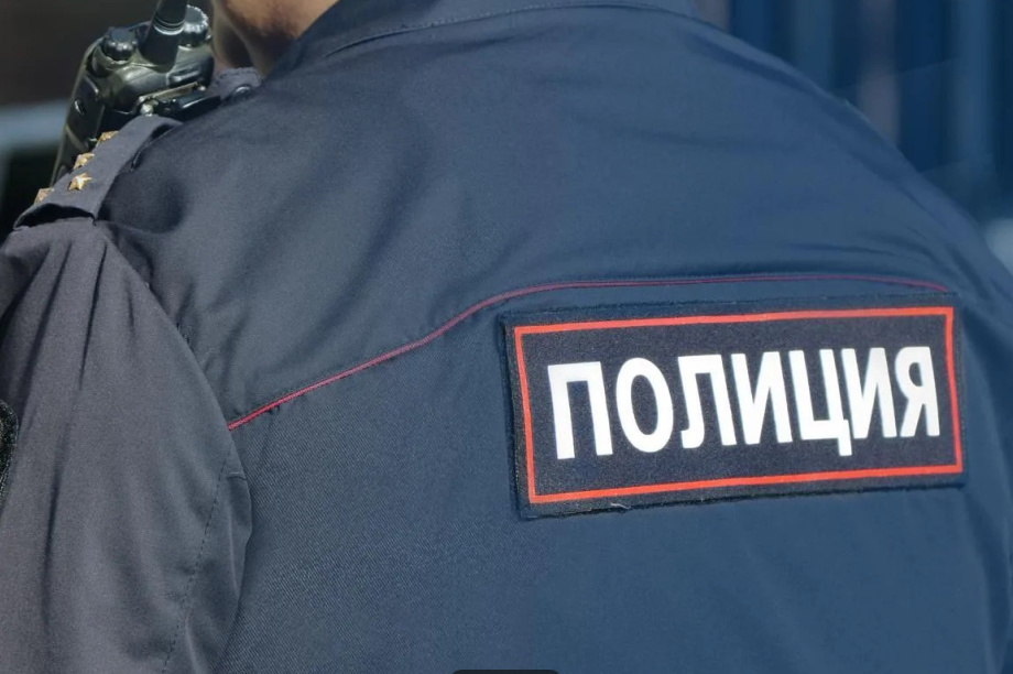В Петропавловске задержали подозреваемого в краже двух смартфонов из кафе. Фото: Пресс-служба УМВД России по Камчатскому краю