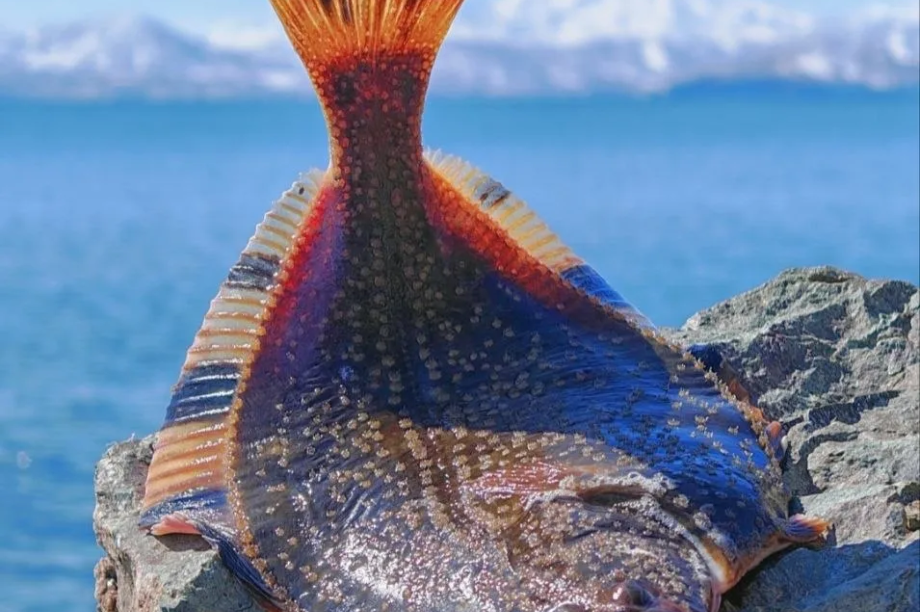 Что и где клюёт на Камчатке: дайджест с 25 по 30 апреля. KamFishing/Андрей Калинов