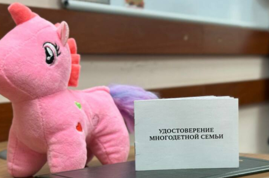 На Камчатке более 4 тысяч семей обрели статус «многодетные». Фото: kamgov.ru