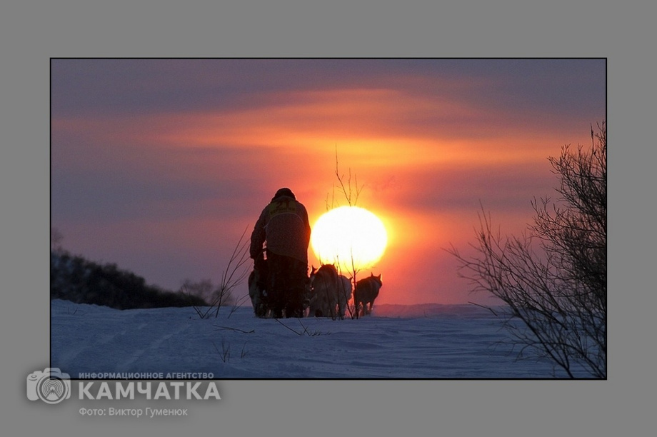 Всемирный день фотографии отмечает Камчатка. Фото: Виктор Гуменюк. Фотография 52