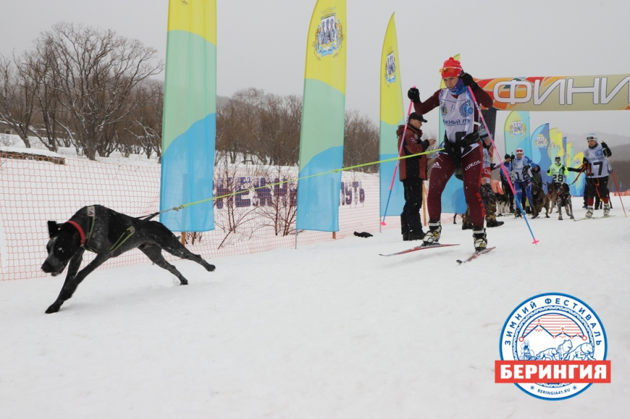 «Снежный путь – 2021». Фото: Виктор Гуменюк. Фотография 4