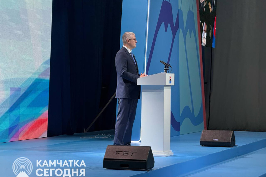 Солодов назвал состояние Петропавловска-Камчатского неприемлемым . . Фотография 5