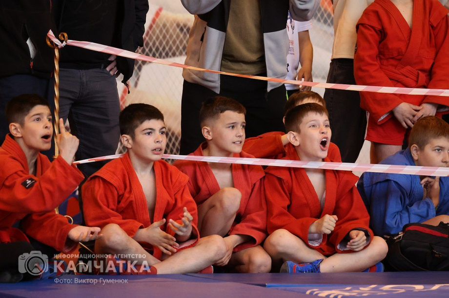 Накануне Дня пограничника на Камчатке провели традиционный турнир по самбо. Фото: ИА «Камчатка» \ Виктор Гуменюк. Фотография 31