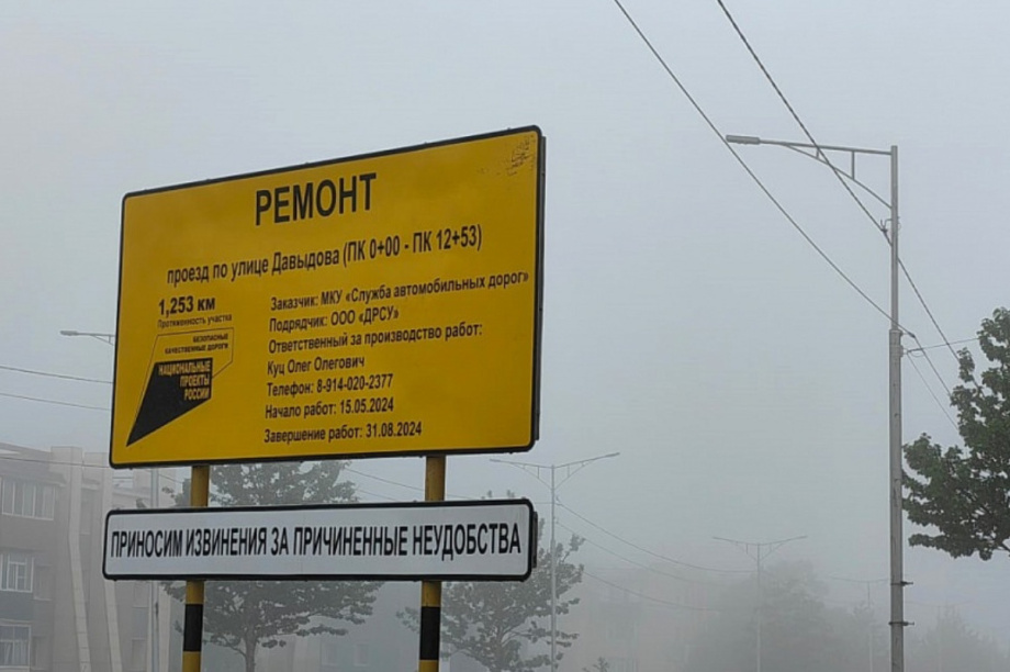 Как реализуется нацпроект «Безопасные качественные дороги» в ПКГО проверили городские депутаты. Фото: Дума ПКГО. Фотография 3