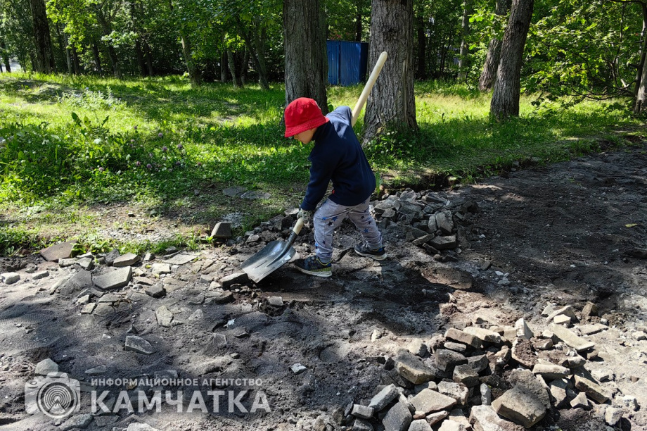 Молодежный субботник прошел в детском парке Петропавловска. фото: ИА "Камчатка". Фотография 3