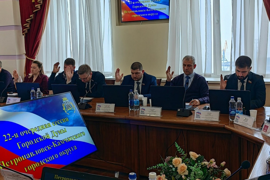 Новая налоговая льгота введена для многодетных в Петропавловске-Камчатском. Фото: duma.pkgo.ru. Фотография 3