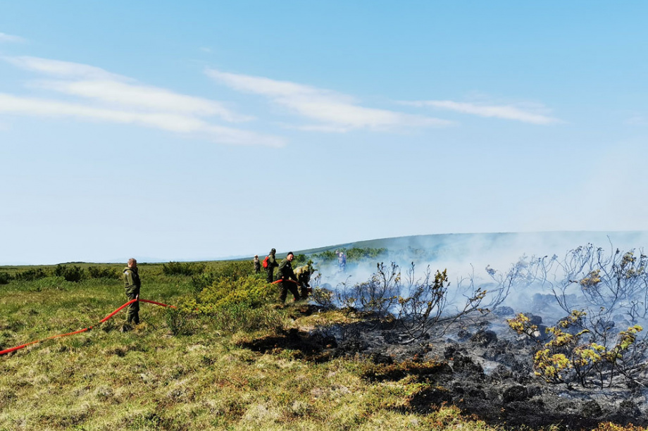 В Корякском заповеднике горели 32 тысячи гектаров леса. Фото: Максим Запорожец. Фотография 13
