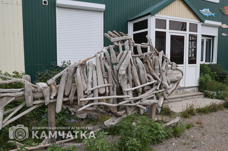 Заповедный берег юга Камчатки очистили от мусора. фото: Виктор Гуменюк. Фотография 29