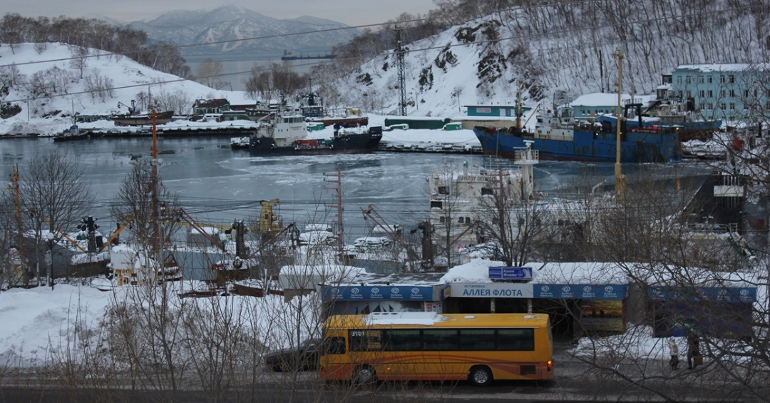 Петропавловск камчатский аллея флота фото