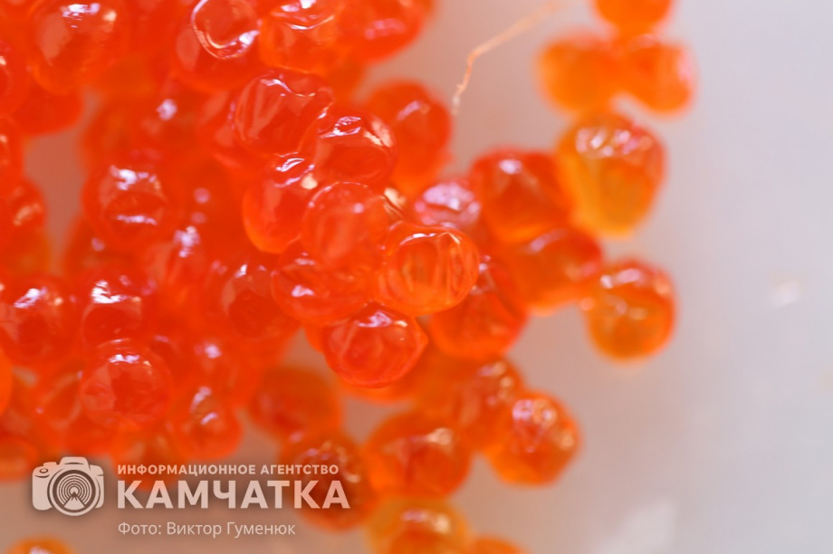 Разбойное нападение на грузовик с икрой раскрыто на Камчатке . фото: ИА "Камчатка"/архив