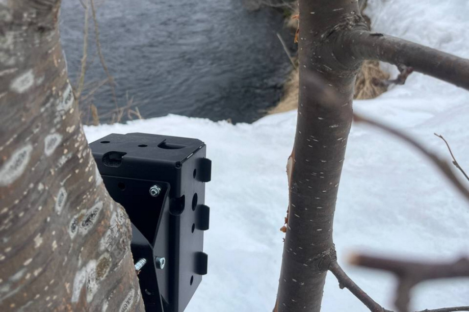 Краснокнижных оленей на Камчатке будут караулить с помощью фотоловушек. Фото: Макар Бердичевский, Игорь Шпиленок. Фотография 5