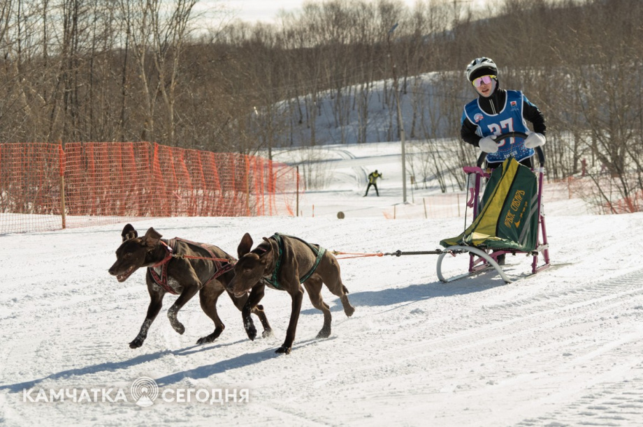 Детская гонка «Дюлин». Фоторепортаж. фото: Артем Безотечество. Фотография 21