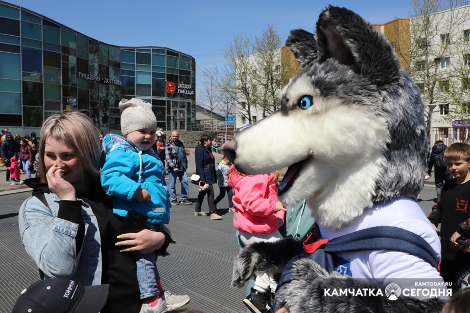 Страна чудес. Фото: Виктор Гуменюк / информационное агентство "Камчатка". Фотография 3