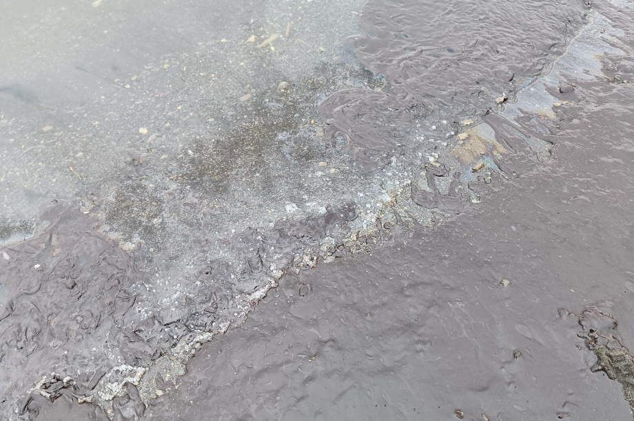 Источник загрязнения Авачинской бухты на Камчатке предположительно находится на пирсе – Минприроды. Фото: ИА "Камчатка". Фотография 7