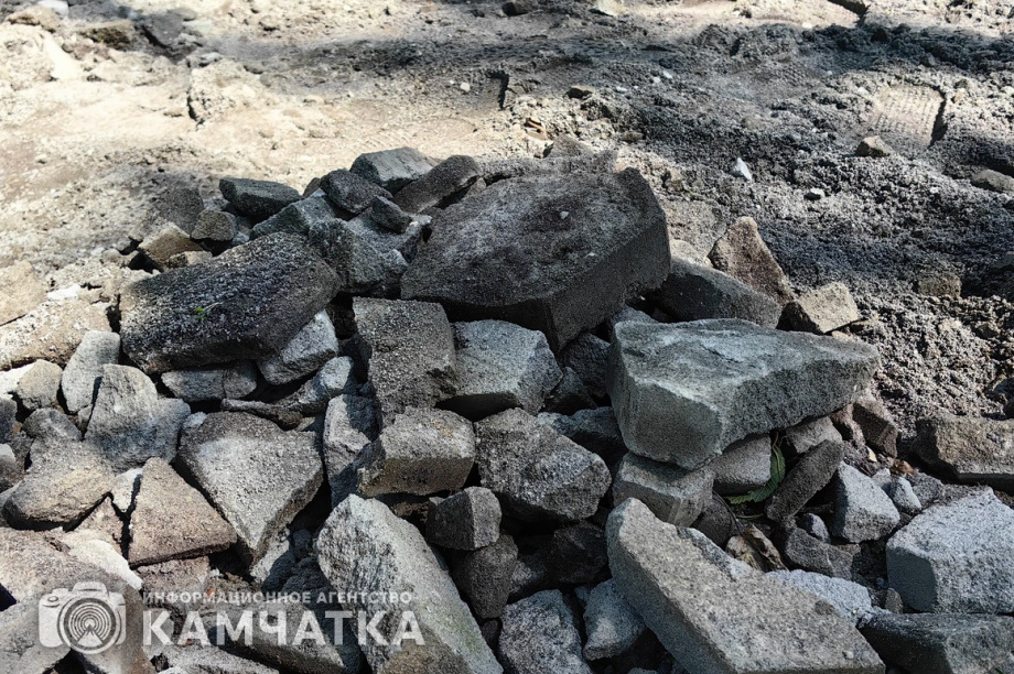 Молодежный субботник прошел в детском парке Петропавловска. фото: ИА "Камчатка". Фотография 28