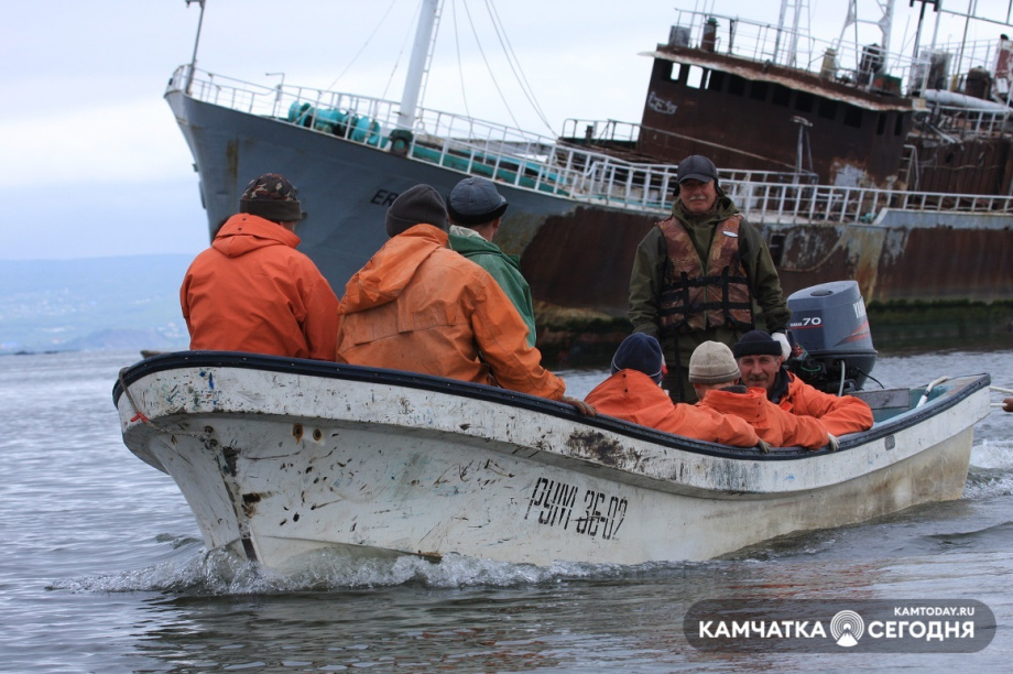 На Камчатке разработают меры поддержки рыбохозяйственной отрасли. Фото: Виктор Гуменюк