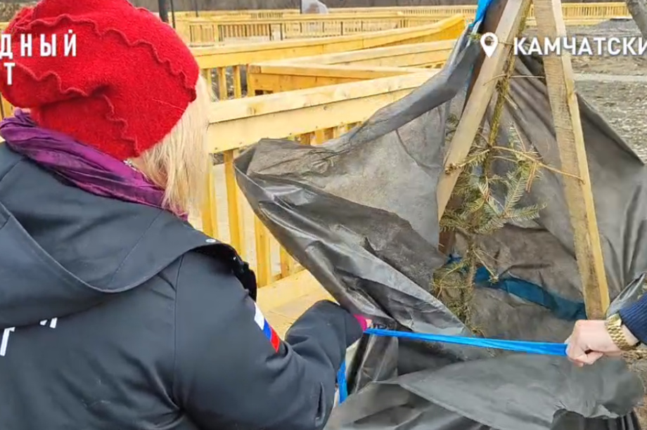 В Елизове на Камчатке умерло озеленение нового парка. Фото: скриншот с видео Камчатского отделения ОНФ