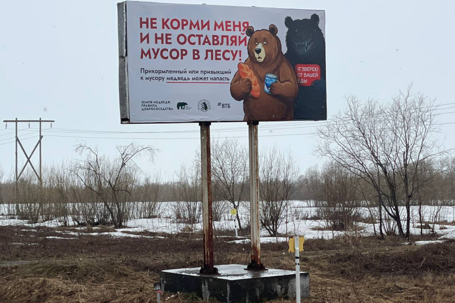 Медведи смотрят на жителей Камчатки с баннеров, чтобы стало меньше конфликтов. Фото: Фонд защитников природы