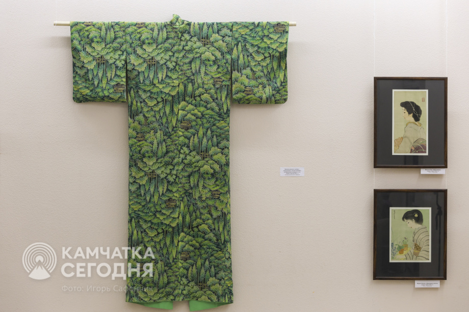 В Камчатском художественном музее открылась выставка о Японии. Фото: «Камчатка Сегодня»/Игорь Сафончик. Фотография 12