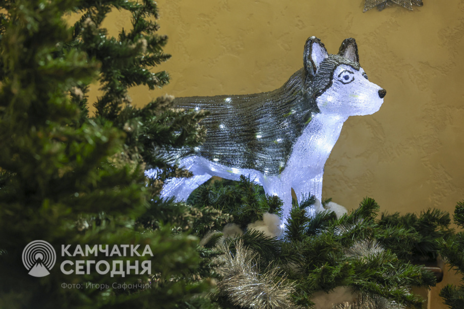 Пятьсот детей побывали на Губернаторской ёлке на Камчатке. Фото: ИА «Камчатка»/Игорь Сафончик. Фотография 60