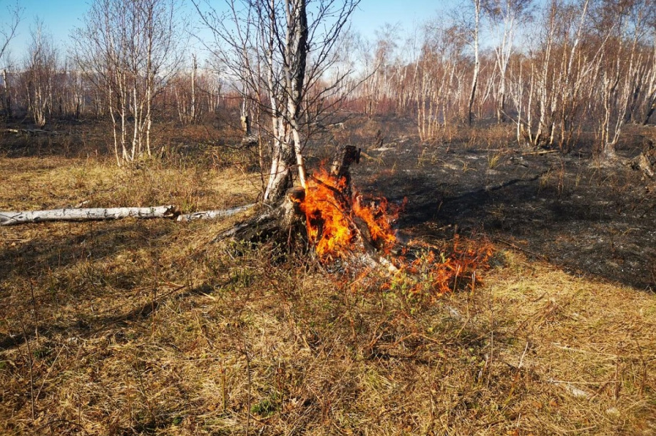 Более пяти часов пожарные боролись с возгоранием сухой травы на Камчатке . Фото предоставлено пресс-службой краевого МЧС. Фотография 4