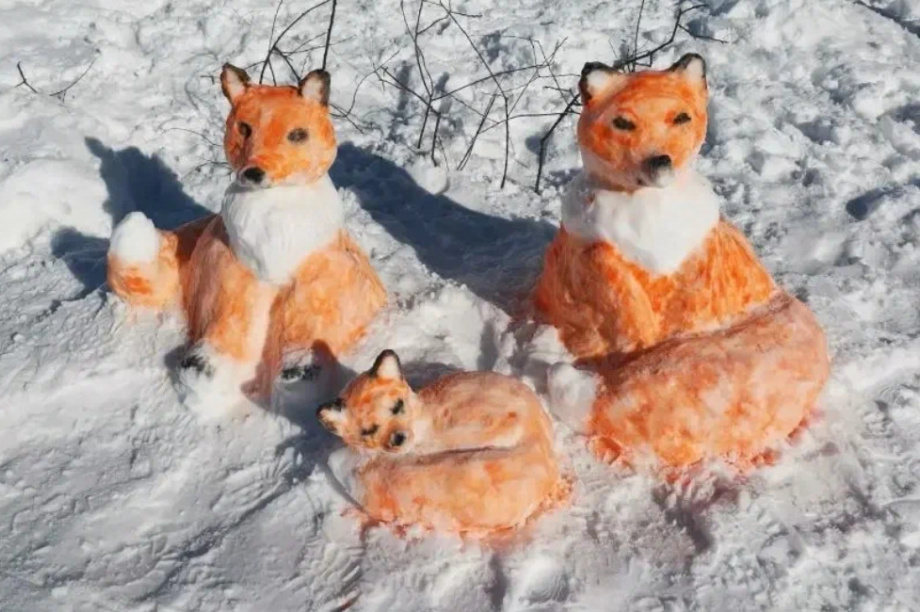 Жители Камчатки создали снежные скульптуры обитателей  местных заповедников. Фото: пресс-служба Кроноцкого заповедника. Фотография 1