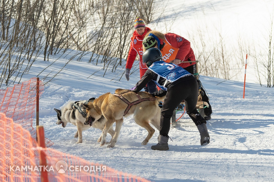 Детская гонка «Дюлин». Фоторепортаж. фото: Артем Безотечество. Фотография 18