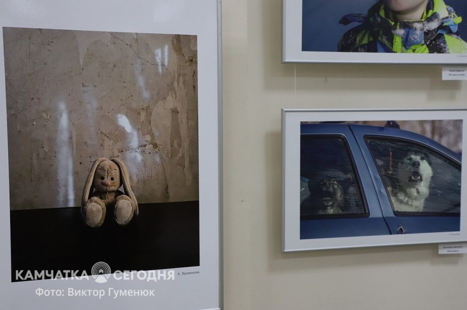 Итоговая выставка фотоклуба «Камчатка». Фоторепортаж. . Фотография 37