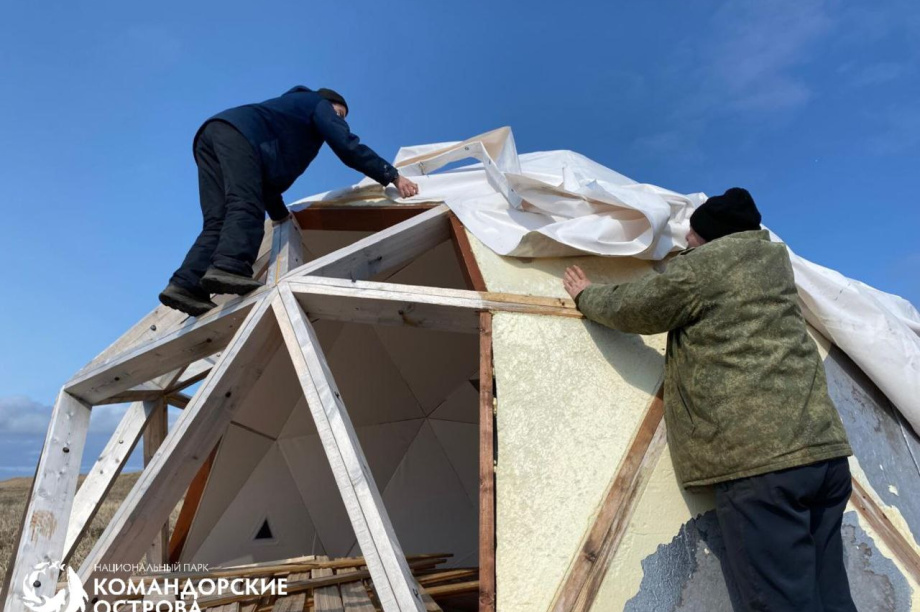 На Командорах сотрудники нацпарка преобразили лежбище котиков. Фото: Национальный парк "Командорские острова". Фотография 2