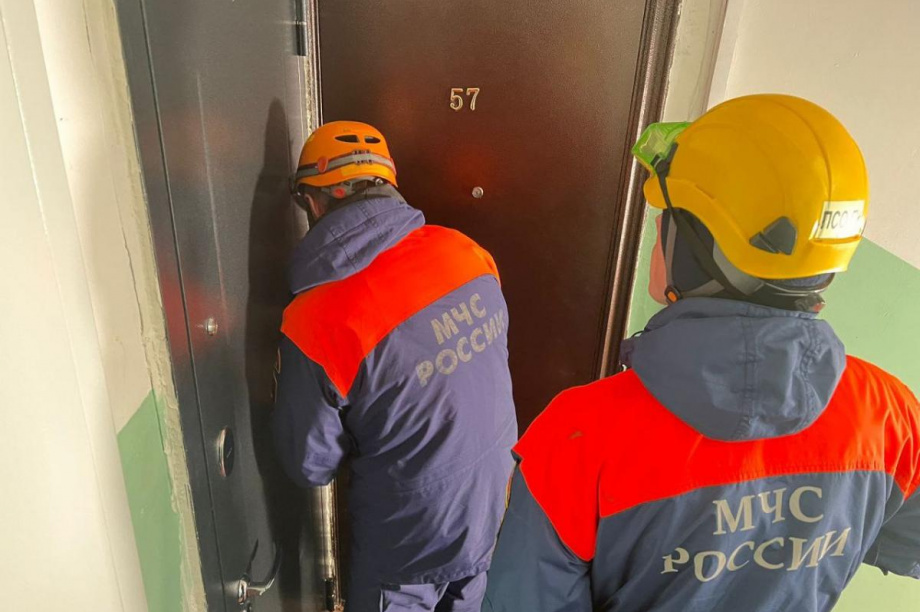 Камчатские спасатели вызволили девочку из запертой квартиры. Фото: ГУ МЧС по Камчатскому краю