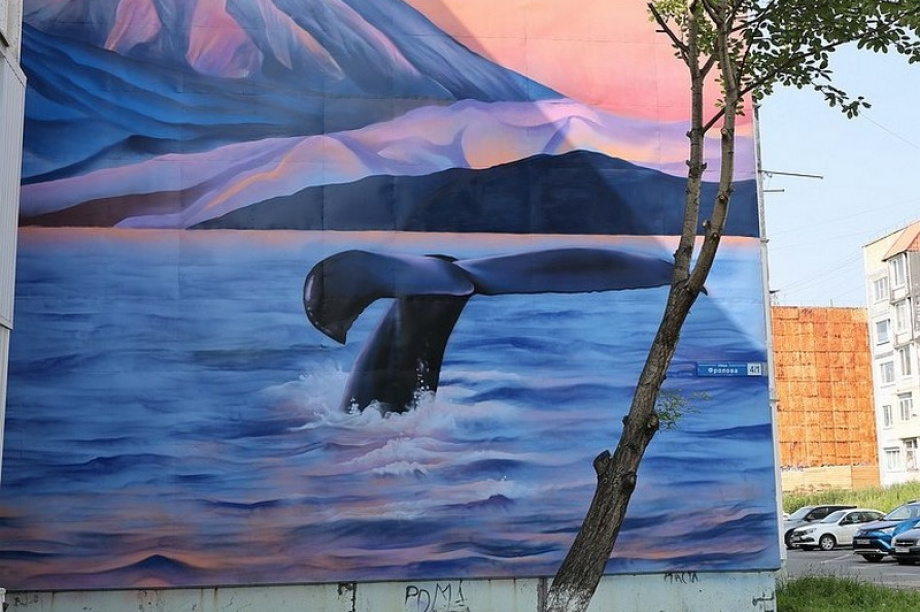 Камчатский стрит-арт. Фоторепортаж. фото: Виктор Гуменюк. Фотография 6