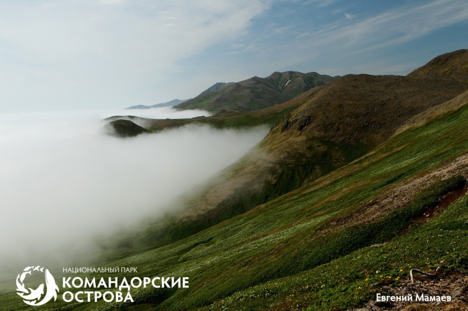 В аэропорту Елизово открывается выставка к 285-летию открытия Командорских островов . Фото организаторов. Фотография 2