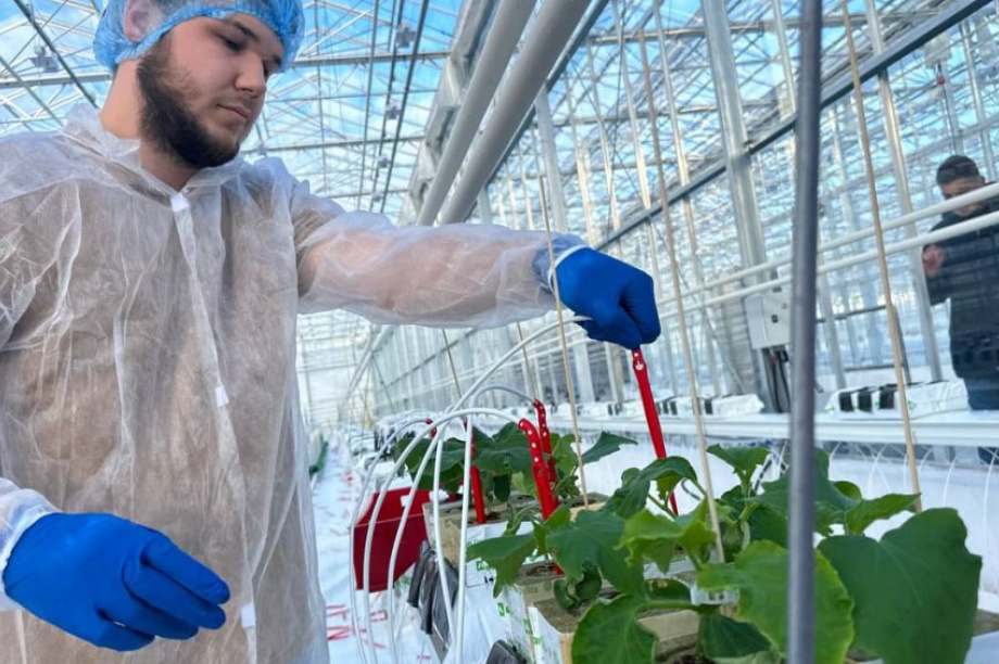 Камчатка меняется. Дайджест преобразований в крае за 5 лет. . Фотография 4