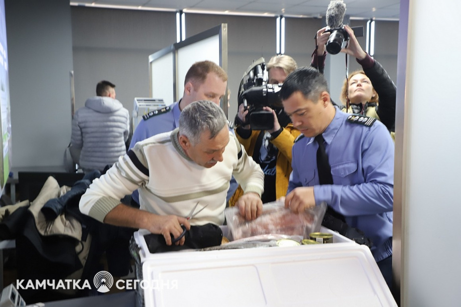Эксперимент по ограничению провоза икры стартовал на Камчатке. Фоторепортаж. Фото: Виктор Гуменюк\ИА "Камчатка". Фотография 15
