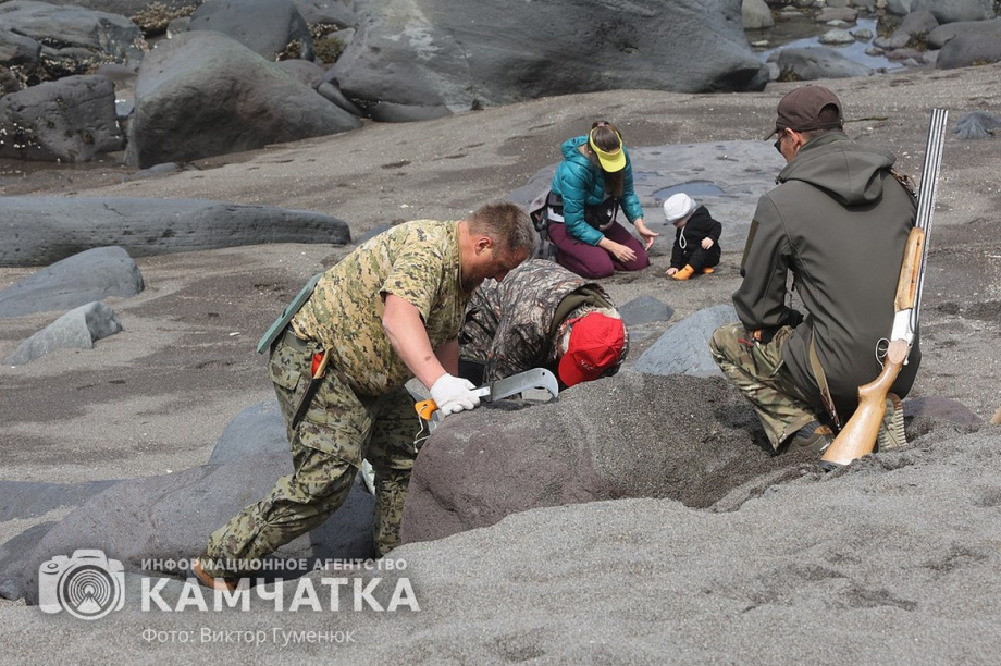 Заповедный берег юга Камчатки очистили от мусора. фото: Виктор Гуменюк. Фотография 1
