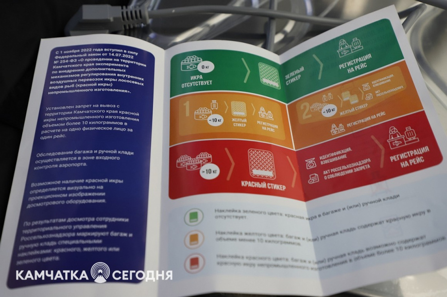 Эксперимент по ограничению провоза икры стартовал на Камчатке. Фоторепортаж. Фото: Виктор Гуменюк\ИА "Камчатка". Фотография 8