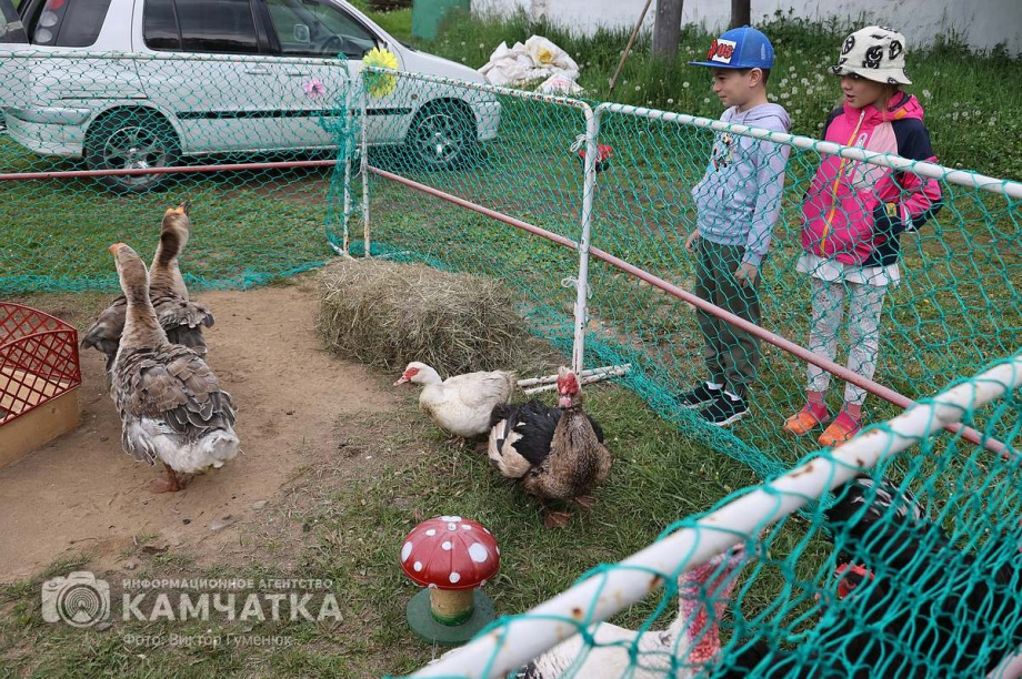Мы славяне! — народное гуляние в Елизово было ярким и позитивным. Фото: ИА «Камчатка» \ Виктор Гуменюк. Фотография 37