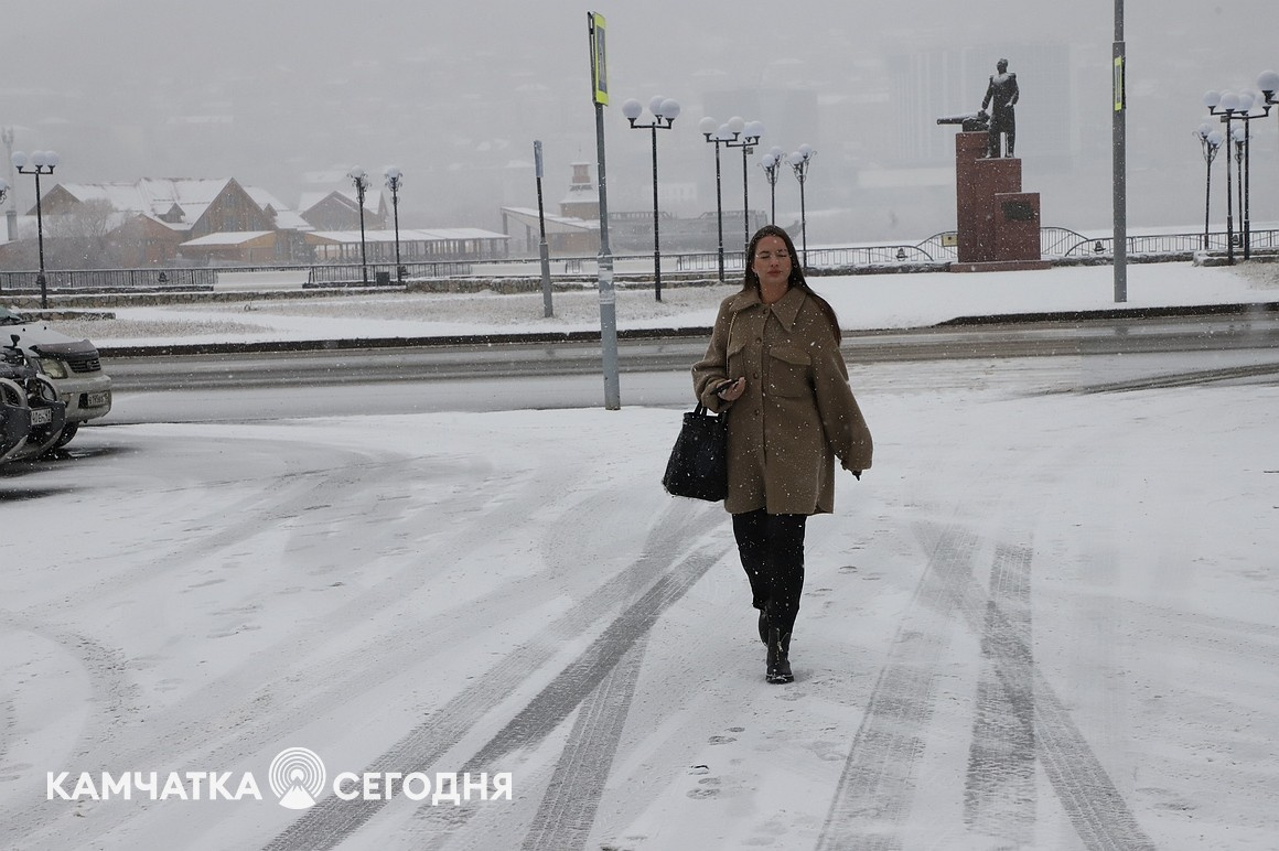 Первый снег выпал в столице Камчатки. Фоторепортаж. Фото: Виктор Гуменюк\ИА "Камчатка". Фотография 5
