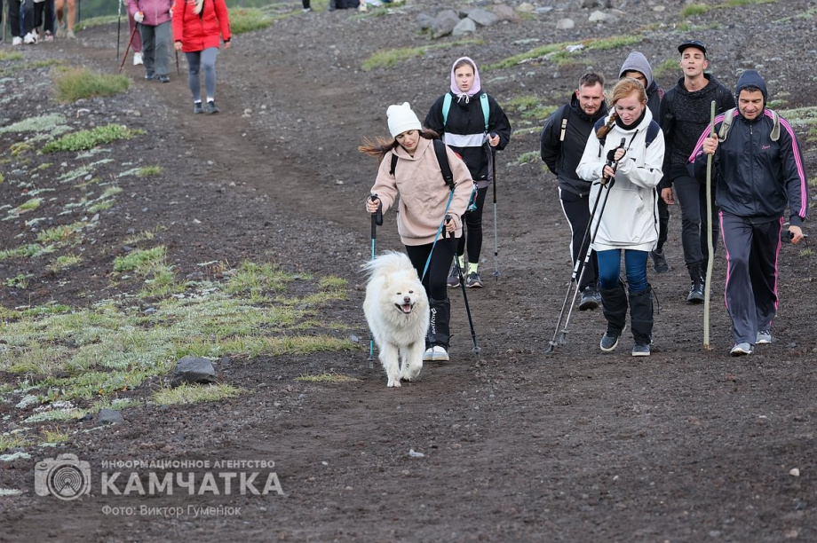 День вулкана на Камчатке собрал почти 2000 восходителей. фото: Виктор Гуменюк. Фотография 46